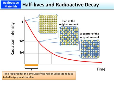half life of radioactive isotopes.